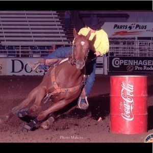 Meet your Posher, Diane